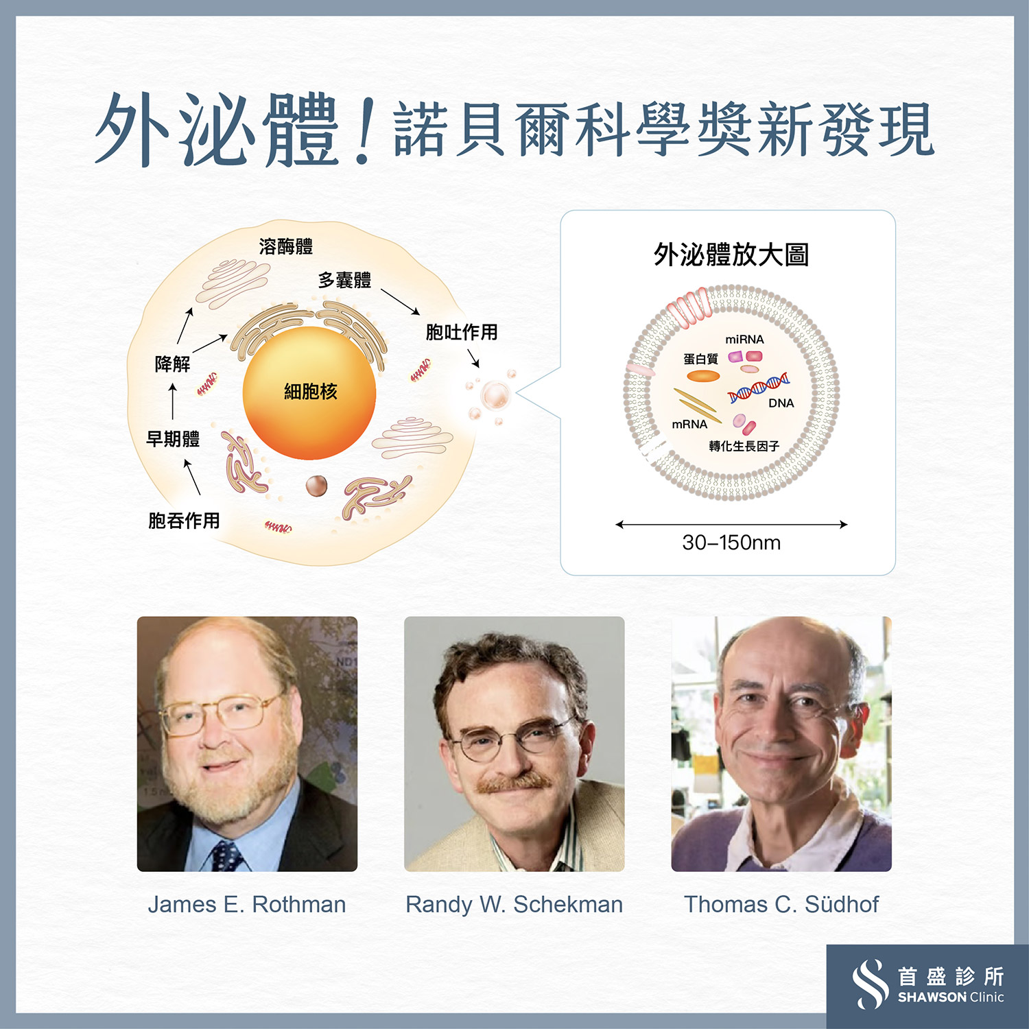 外泌體頭皮長痘痘、發炎的剋星