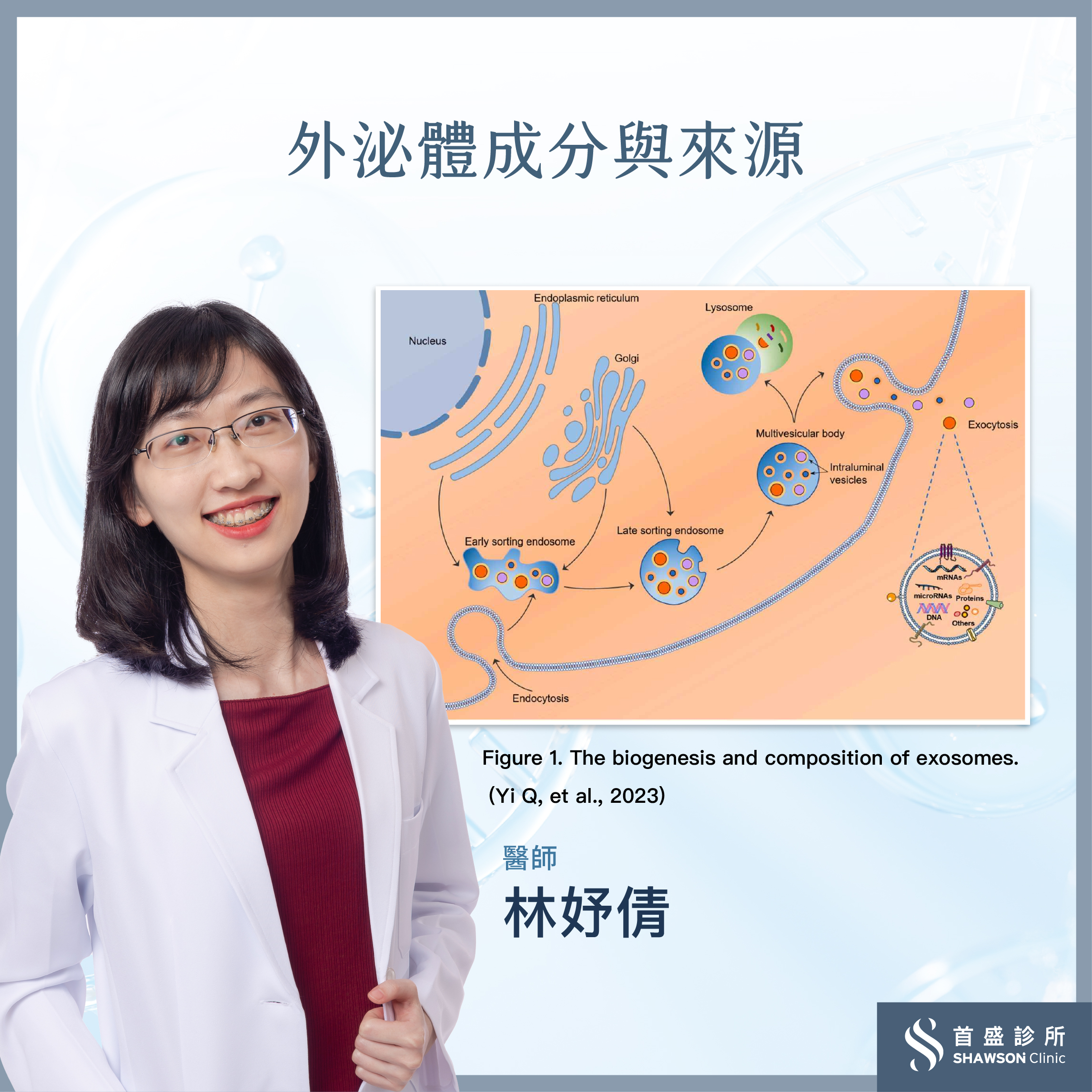 外泌體是什麼?從細胞溝通到再生醫學的關鍵角色