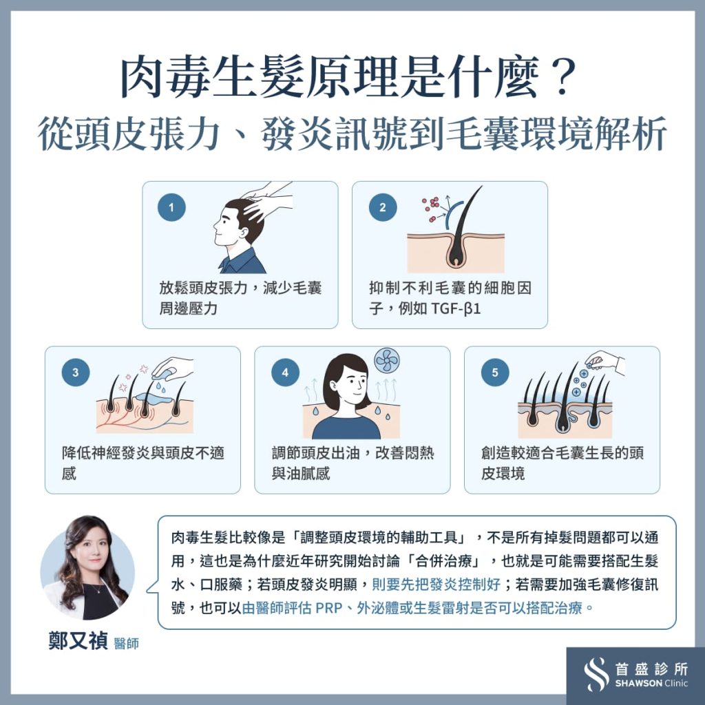肉毒生髮原理是什麼?從頭皮張力、發炎訊號到毛囊環境解析